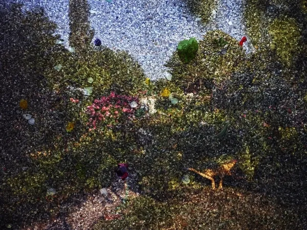 Abelardo Morell, Tent-Camera Image on Ground: View of Monet's Gardens with Wheelbarrow, Giverny, France, 2015