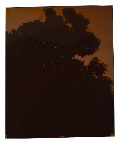 John Chiara, Seven Chimneys at Carter, 2014