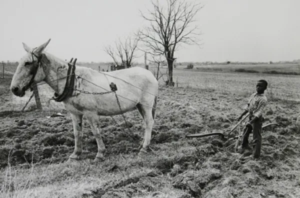 Bruce Davidson, Untitled, Time of Change (Young Boy Plowing), 1965
