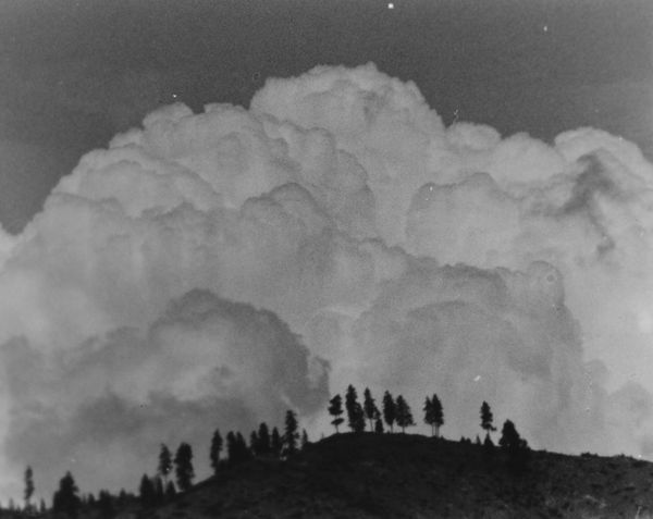 Tommy Nease, Chelan, 2016