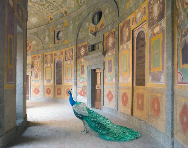 Karen Knorr, Heaven's Vault Villa Farnese, Caprarola 2, 2014