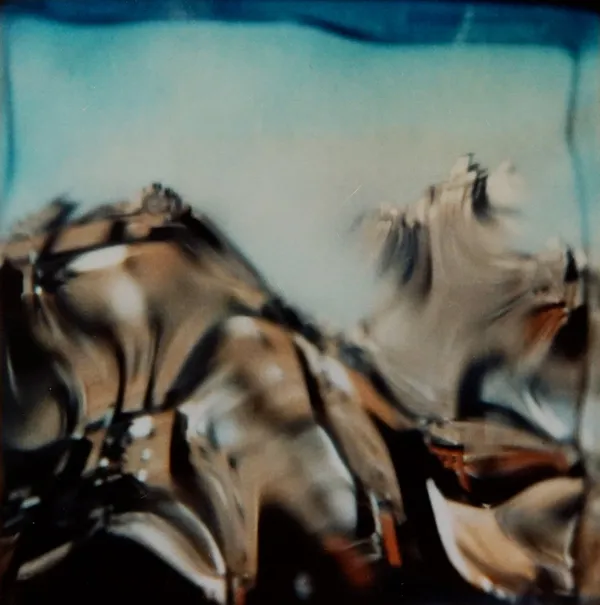 André Kertész, January, 1980