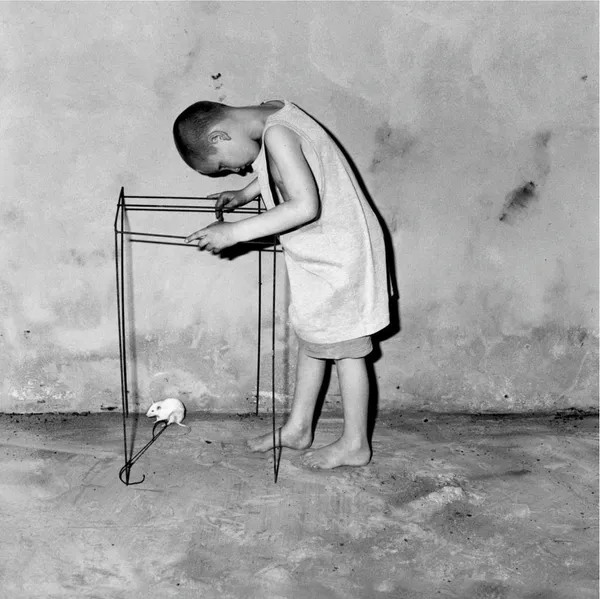 Roger Ballen, Contraption, 2001