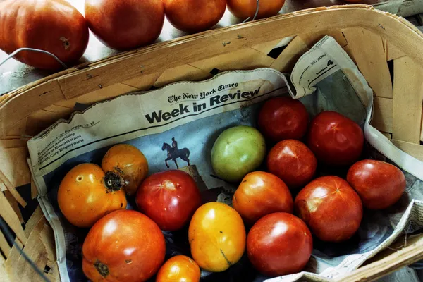 Langdon Clay, New York Times Week in Review with Ripening Tomatoes, 2003