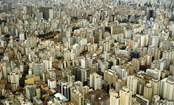 Scott Peterman, SP301, 2006