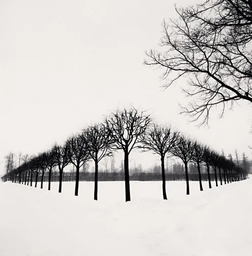Michael Kenna, Perspective of Trees, Tsarskoe Selo, Russia, 1999