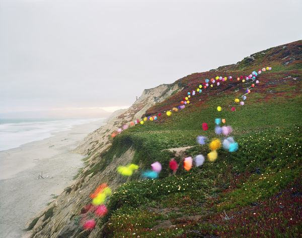 Thomas Jackson, Tutus no. 4, San Francisco, California, 2018