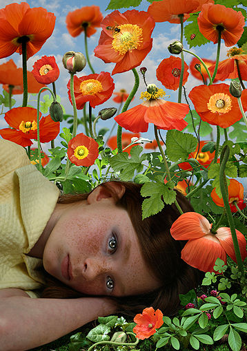 Ruud van Empel, Dawn #3, 2008