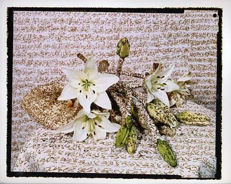 Lalla Essaydi, Apparel #6, 2003