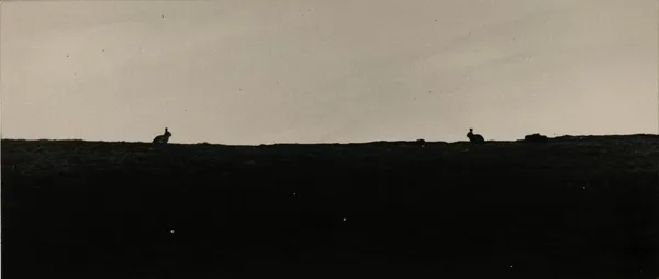 Yamamoto Masao, Nakazora #1374, 2006