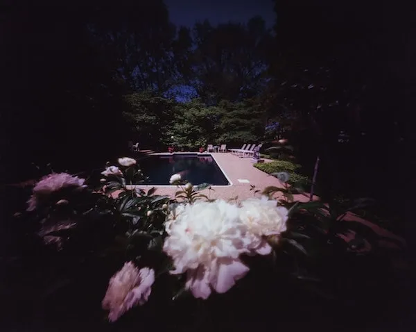 Willie Anne Wright, Richmond, Virginia: Jack B.’s Pool with Peonies, 1986