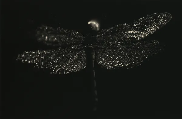 Yamamoto Masao, Kawa=Flow #1591