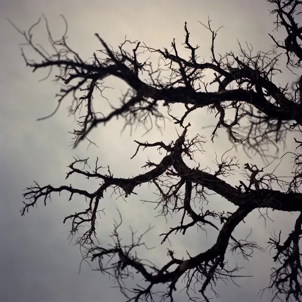 Mona Kuhn, Current I, 2012-2013