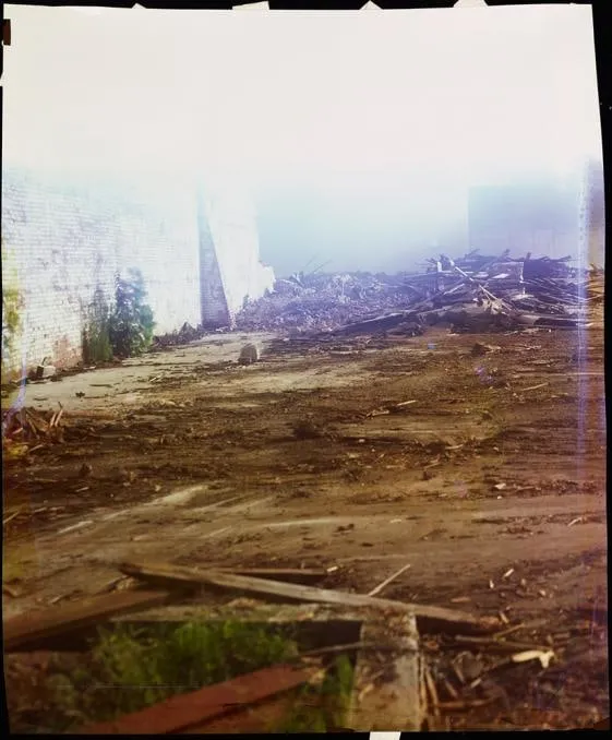 John Chiara, Walnut at Adams, 2013