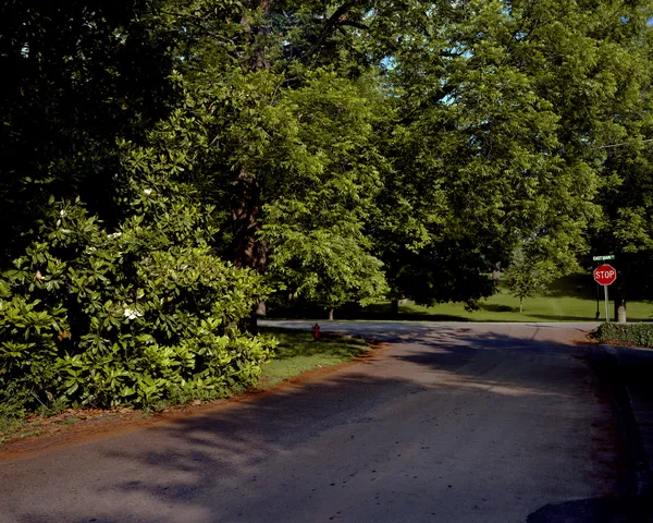 Angela West, Familiar Landscapes #2 (Stop Sign), 2003