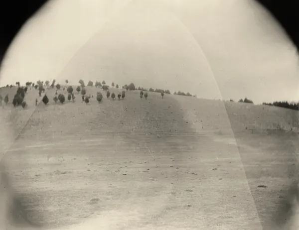 Sally Mann, Georgia, Untitled (Cracked Field), 1996