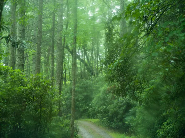 Carolyn Carr, Margaret's Drive