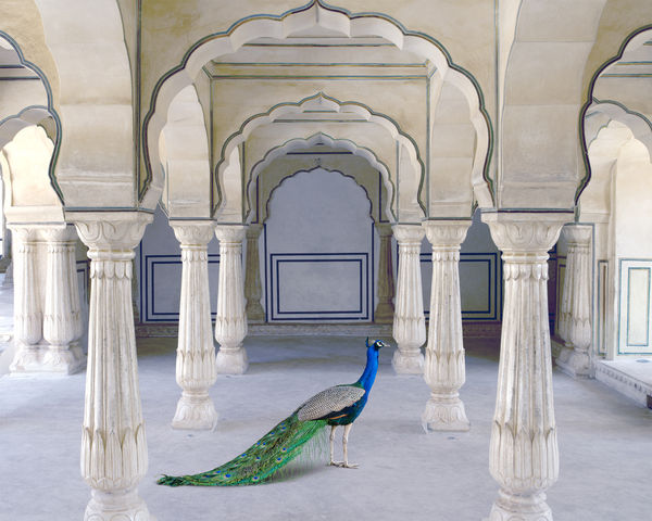 Karen Knorr, A Moment of Solitude, Amer Fort, Amer, 2021