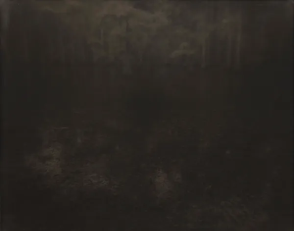 Sally mann, Deep South #45, 1998