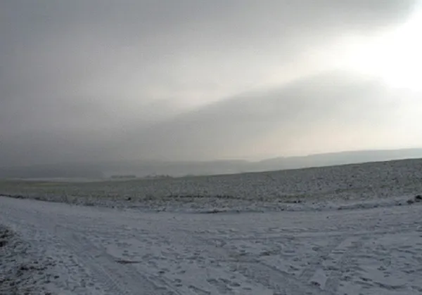 Thomas Struth, Odenwald, 2006