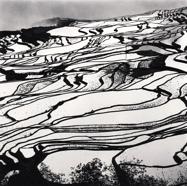Michael Kenna, Yuanyang, Study 2, Yunnan, China, 2013