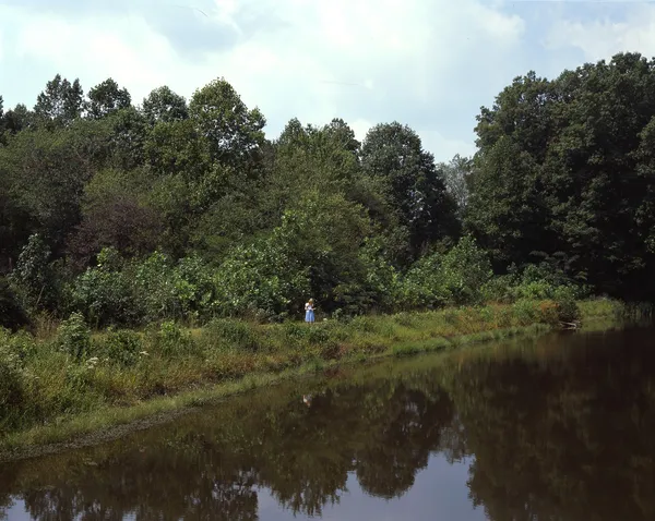 Angela West, Princess in Peril #2, 2006