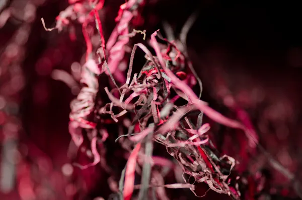 Jorge Sarsale, Serie Tejidos