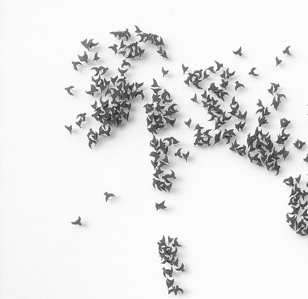 Rachel Shaw Ashton, Everybody Believes (Black and White)