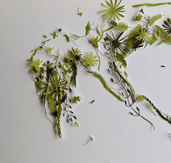 Rachel Shaw Ashton, Everybody Believes