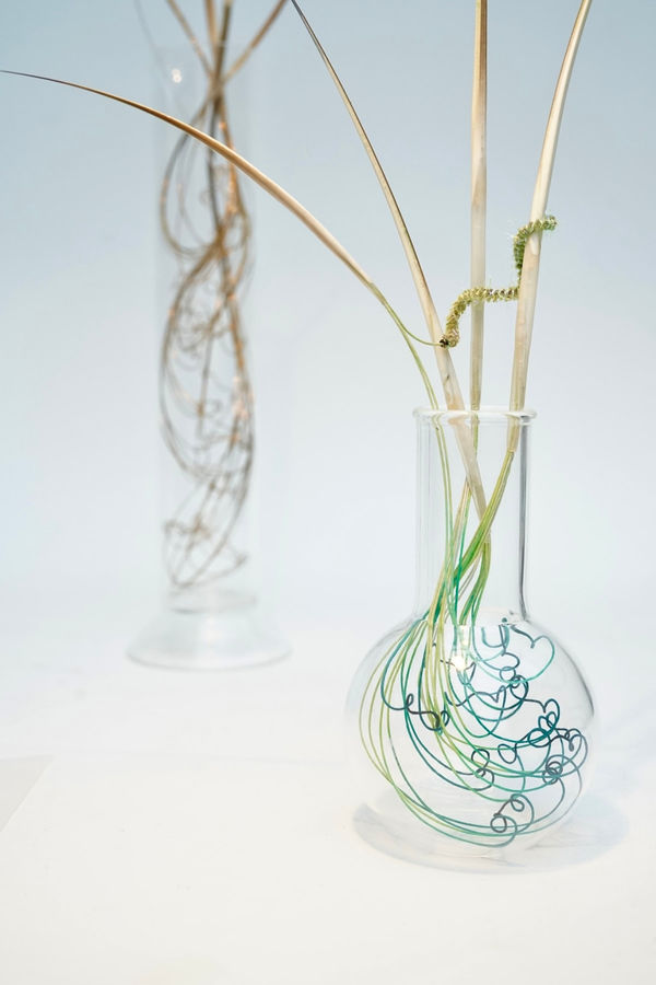 Bridget Bailey, Roots and Shoots with Caterpillar