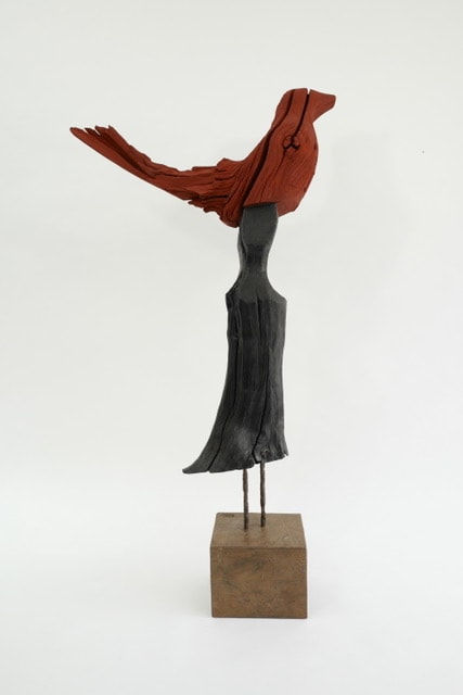 Roger Hardy, Bird vision