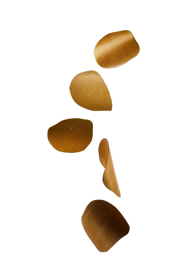 Juliet and Jamie Gutch, The Life of Things Series