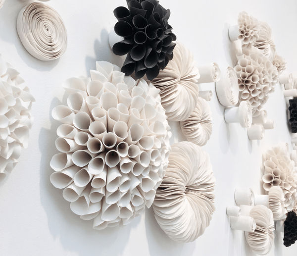 Valéria Nascimento, Botanica