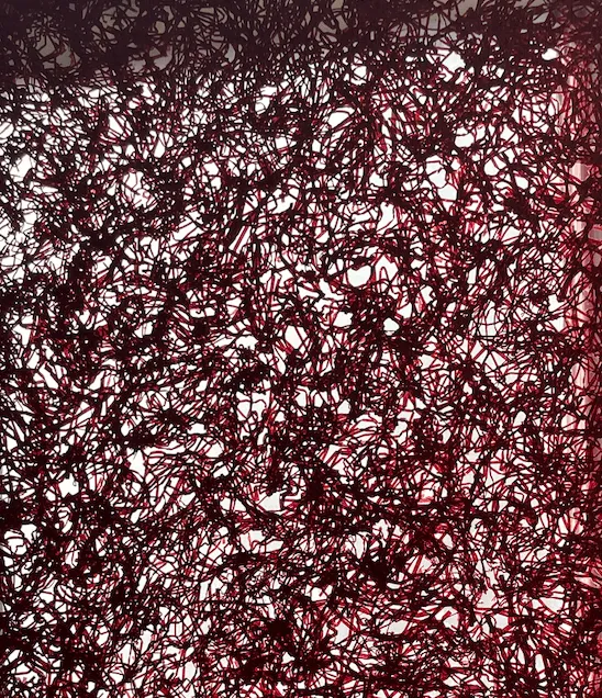 Jorge Sarsale, Untitled