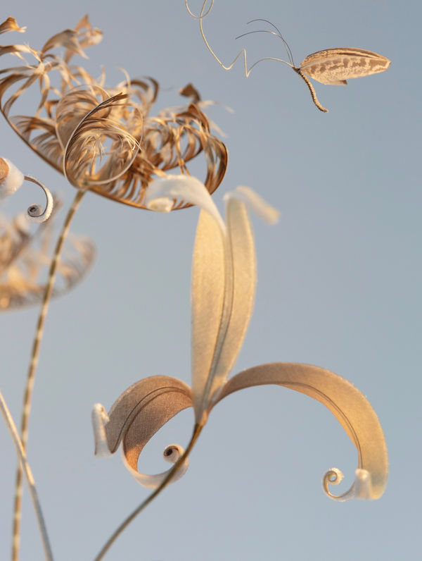 Bridget Bailey, Flowers and Grasses