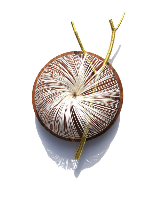 Kazuhito Takadoi, Youkou 2 (Sunlight 2)