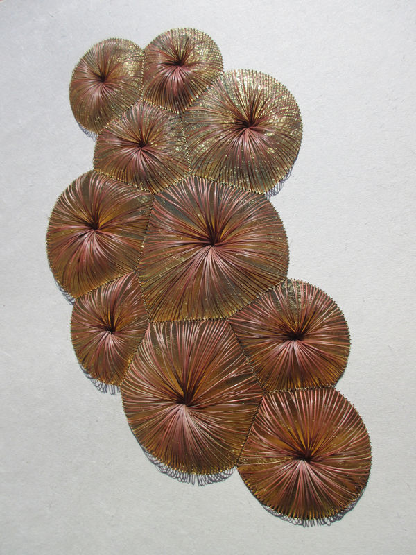 Kazuhito Takadoi, Fusa (Cluster)