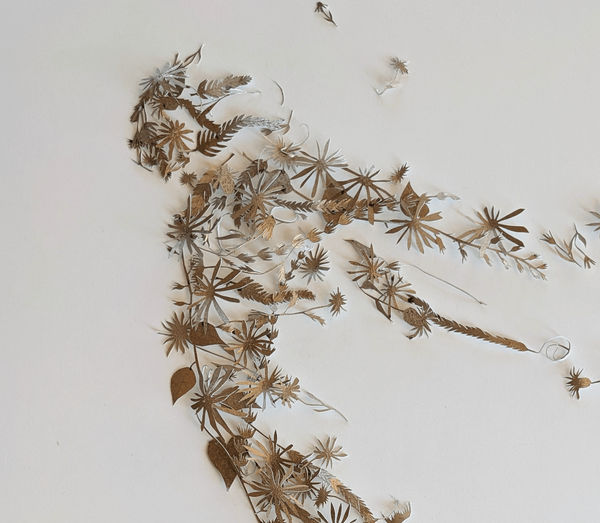 Rachel Shaw Ashton, Acts of Union