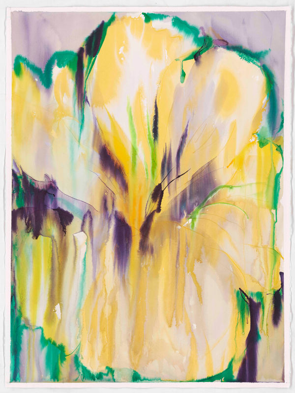 Jaki Doyka, Bermuda Buttercup #1 3.27.23 (Echo Park, CA USA), 2023