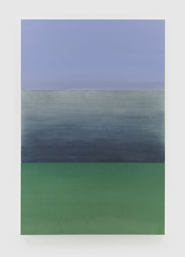 BYRON KIM, B.Q.O. 21 (Triakis semifasciata), 2021