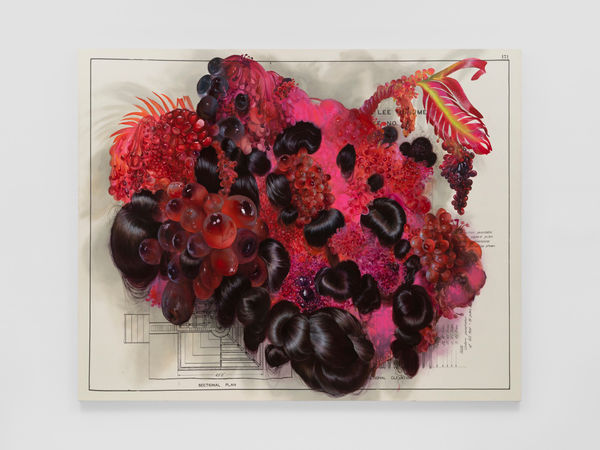 FIRELEI BÁEZ, Fruta Fina, Fruta Estrańa (Lee Monument), 2022