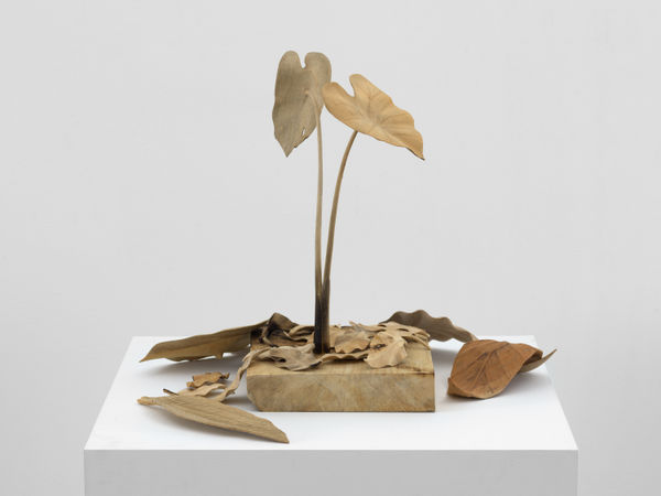 TUAN ANDREW NGUYEN, Not The Smell of Napalm, 2019