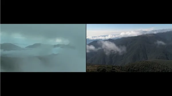 Lucy + Jorge Orta, Amazonia, 2010