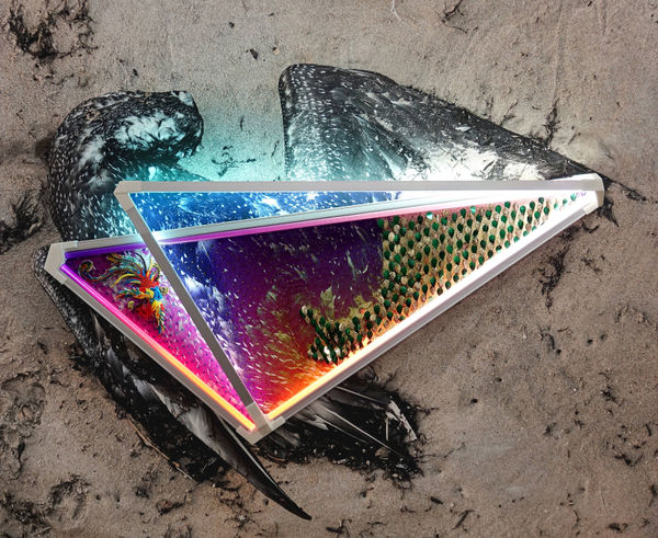 James Clar, The Dream of Flight, 2018