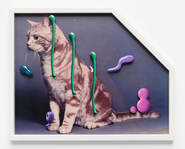 Teppei Kaneuji, Sea and Pus (Photograph of Cat) #12, 2022