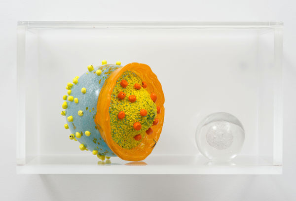 Lucy + Jorge Orta, Cells [Diptych], 2014