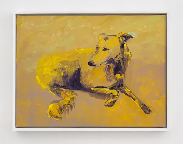 Claudia Doring Baez, Dog, after Peter Hujar, 2025