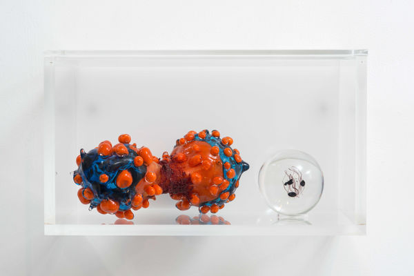 Lucy + Jorge Orta, Cells [Diptych], 2014