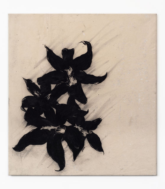 Benjamin Murphy Stegoceras , 2022 Charcoal on raw canvas, fixed 117 x 108 cm