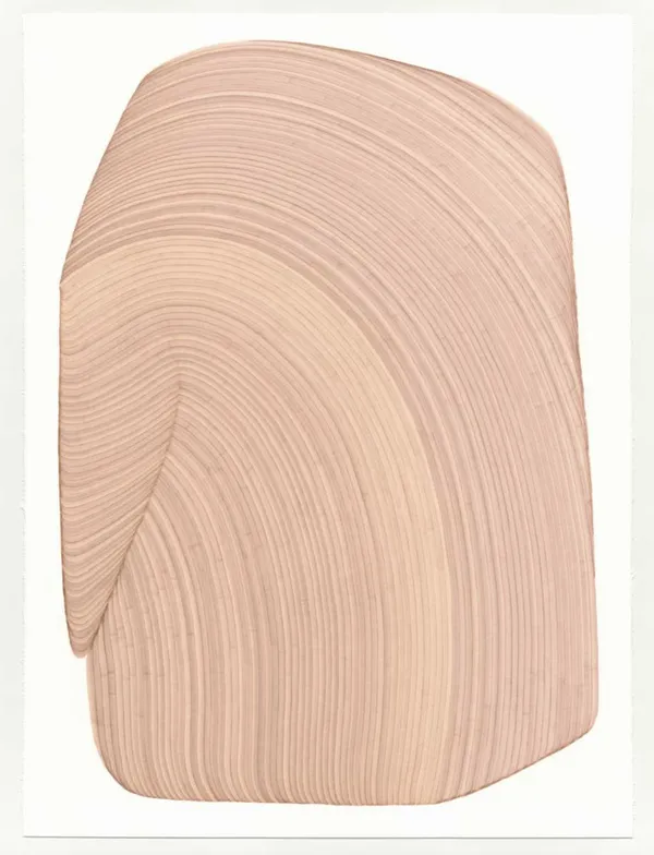 Dana Piazza, Lines 323, 2025